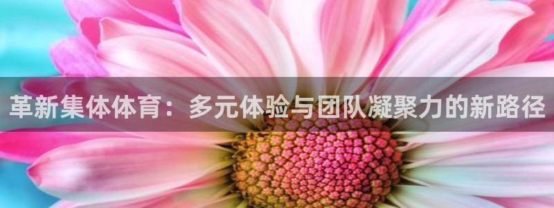 三亿体育