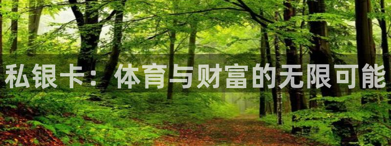 三亿体育