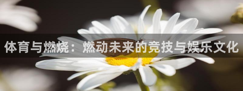 三亿体育网页版