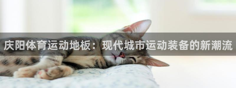 三亿体育网