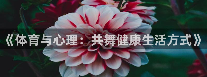 三亿体育网页版