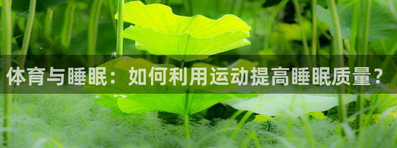 三亿体育网页版