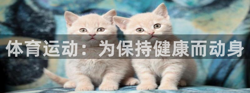 三亿体育网