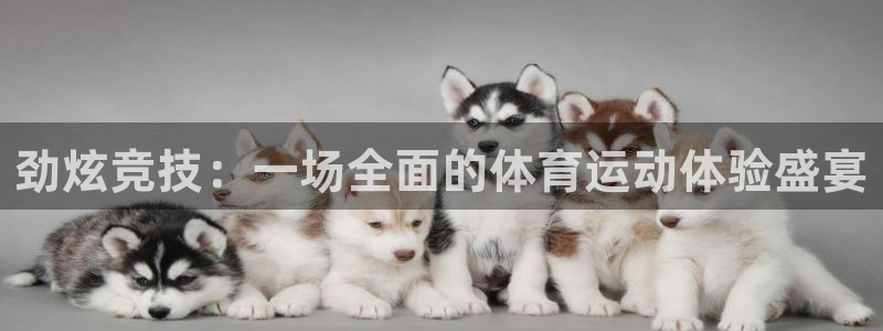 三亿体育网