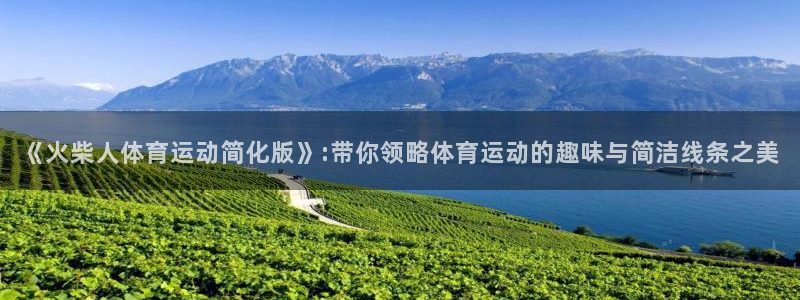 三亿体育网页版