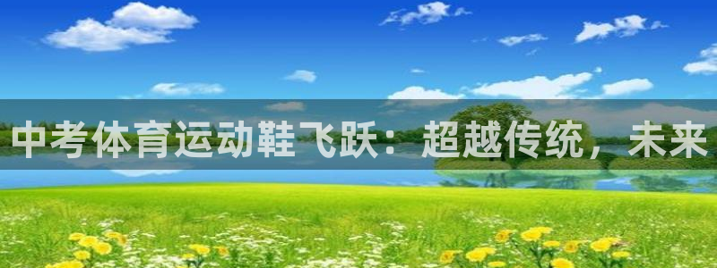 三亿体育网页版