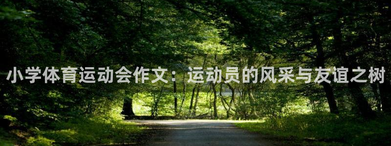 三亿体育