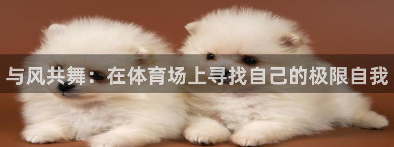 三亿体育
