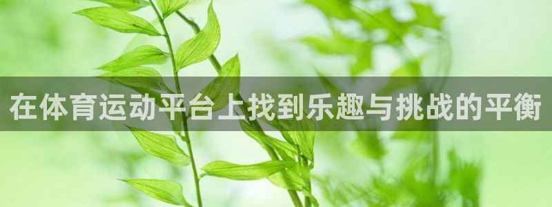 三亿体育网